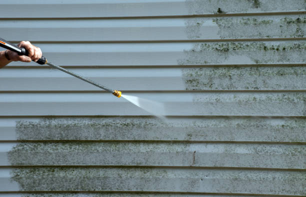 Trusted Wauseon, OH Pressure Washing Services Experts